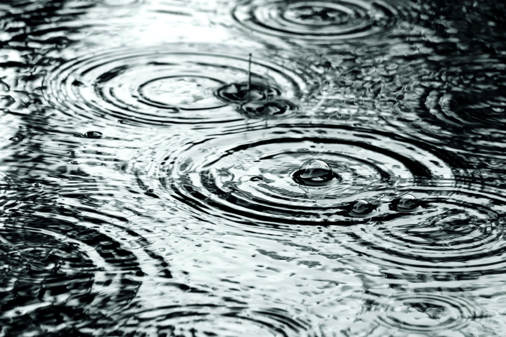 Rainwater Collection workshop Apr. 29 in Hondo
