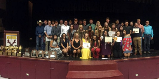 Arabian and Warhorse Sports Banquet recognition