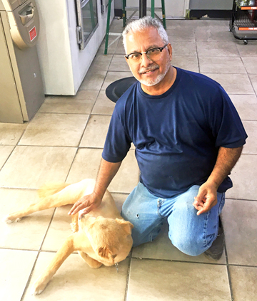 Dog saves local business from fire