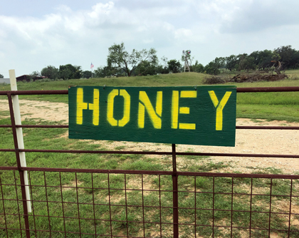 Bee rustlers take hive near Devine, $2,000 reward offered