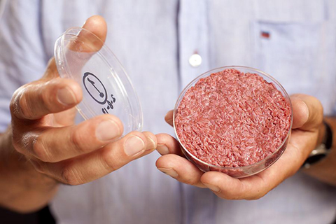 Lab-grown meat to hit grocery stores, restaurants in 2022; local ranchers have plenty beef with lab meat