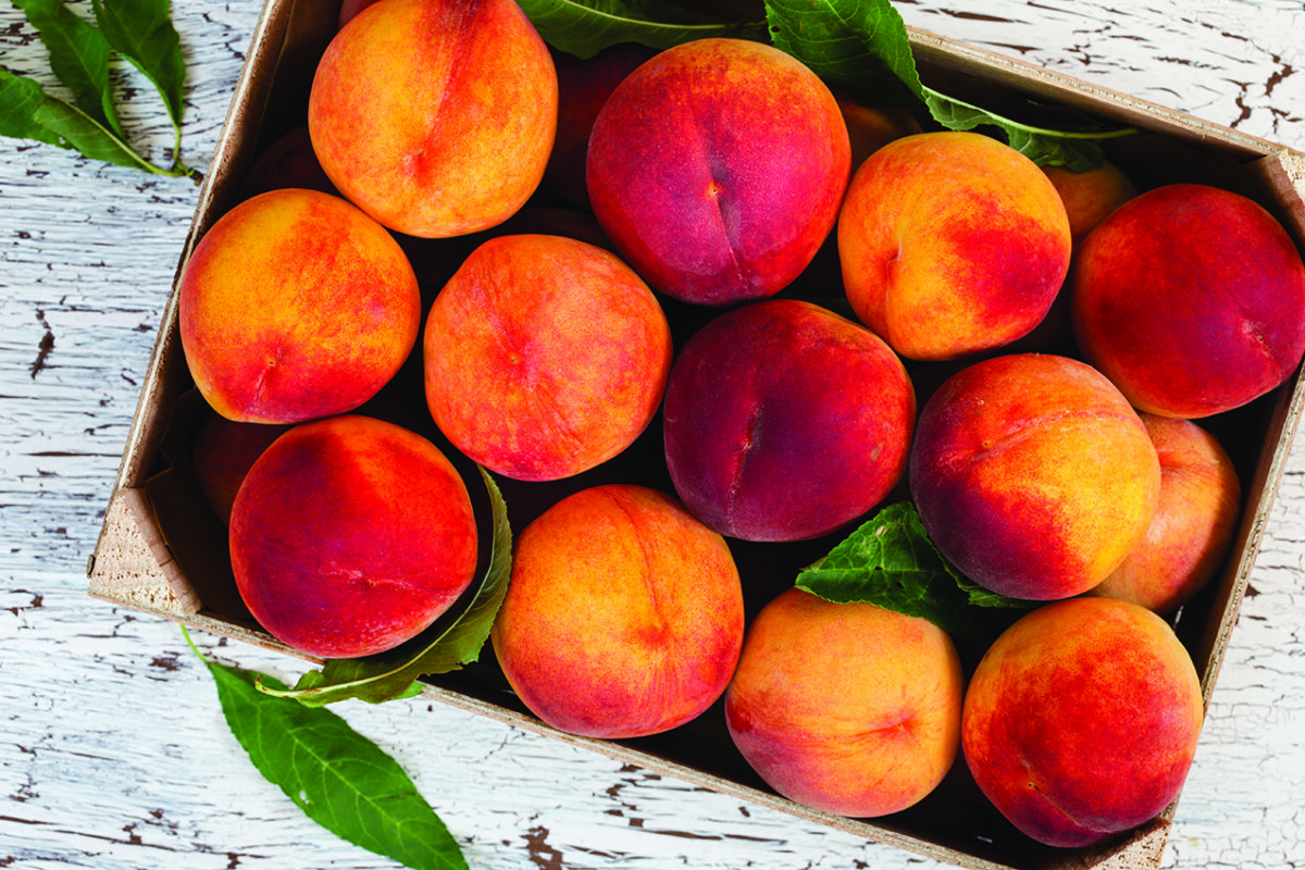 How do you like those peaches?…How peaches may reduce cancer risk