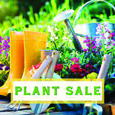 Devine Garden Club prepares for plant sale at Cactus Festival