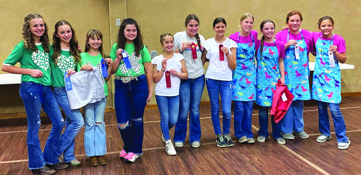 4H Teams compete in Textile contests