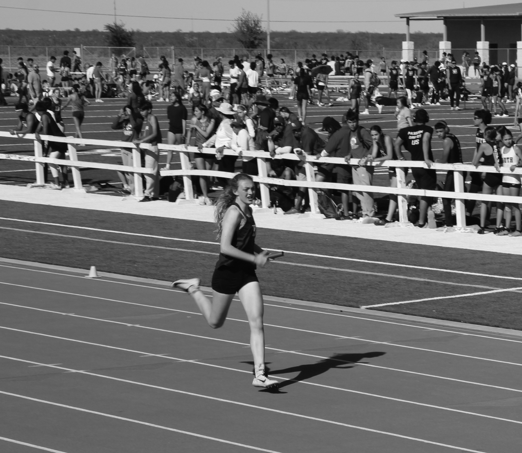 cloud-of-dust-arabian-track-smokes-competition-the-devine-news